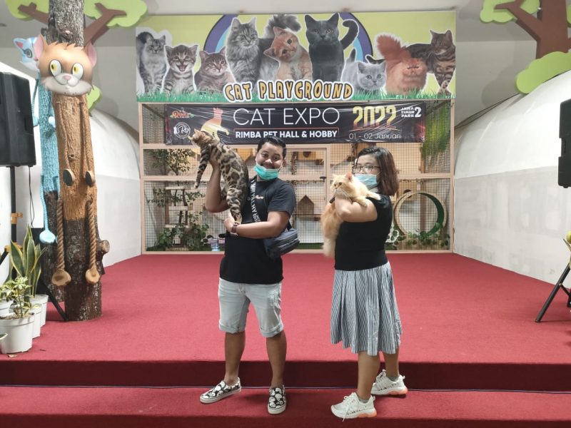 Cat Expo di Rimba Pet Hall and Hobby Jatim Park 2 Diserbu Wisatawan
