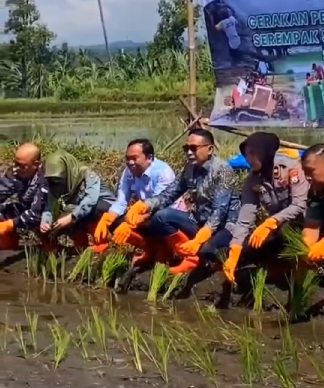 Walikota Wahyu Pimpin Penanaman Padi Serentak di Mulyorejo, Bukti Jaga Produktivitas Padi